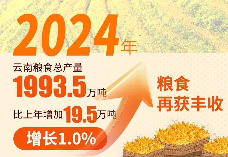 云南省粮食产业新篇章，成品粮规模达8万余吨