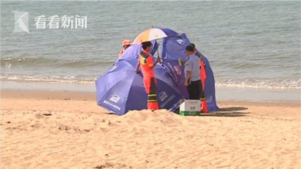 海南景区海滩惊现死亡鲸鱼，生态警示引发关注