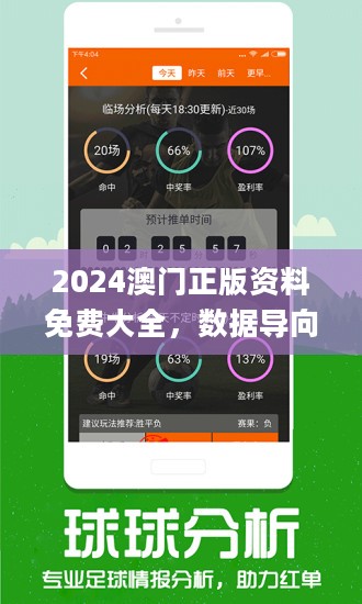 2024年新澳门王中王免费,决策资料解释落实_储蓄版3.968