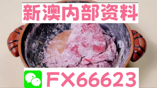 新澳门内部一码精准公开网站,经典解答解释落实_交互版58.33.93