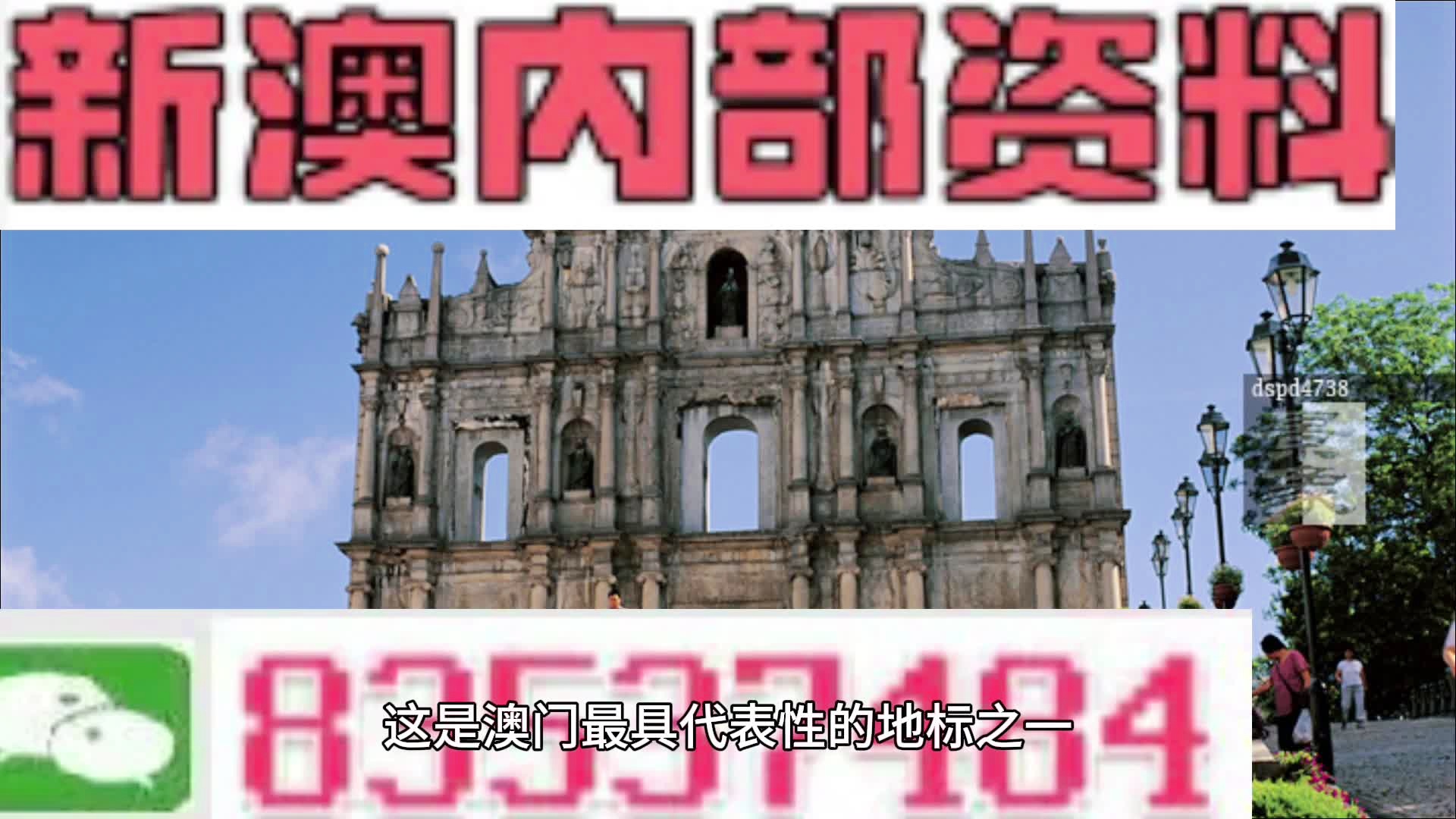 新澳门今日精准四肖,专业讲解解答解释方案_画面版3.353