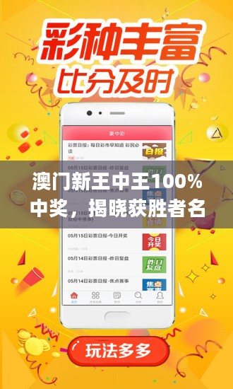 新澳门王中王100%期期中,效率资料解释落实_精英版3.239