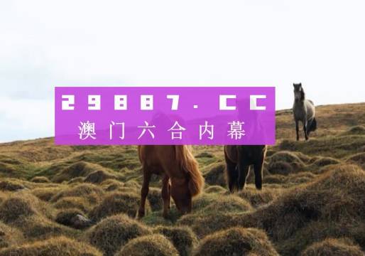 新澳门今晚开特马开奖,效率资料解释落实_精英版9.298