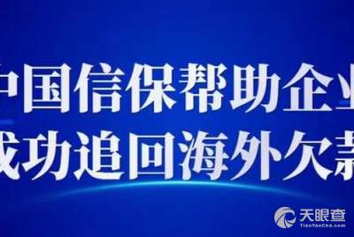 某险企分公司首日保费破亿，成功背后的策略洞察与启示