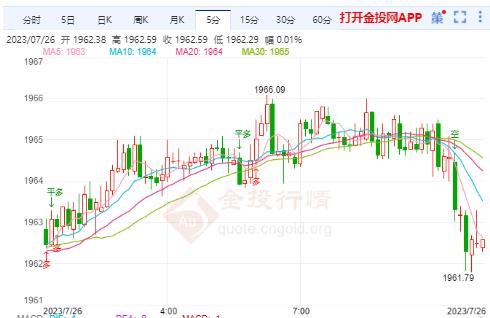 国际金价动态解析，影响因素、波动分析以及投资策略探讨