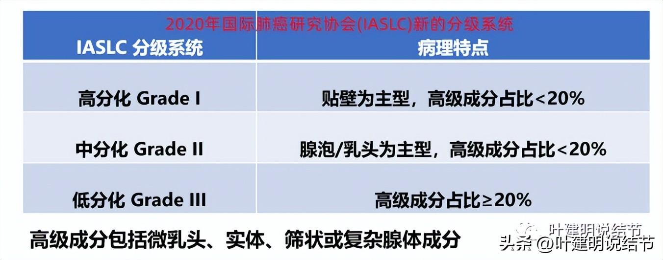 肺腺癌转移速度概览表