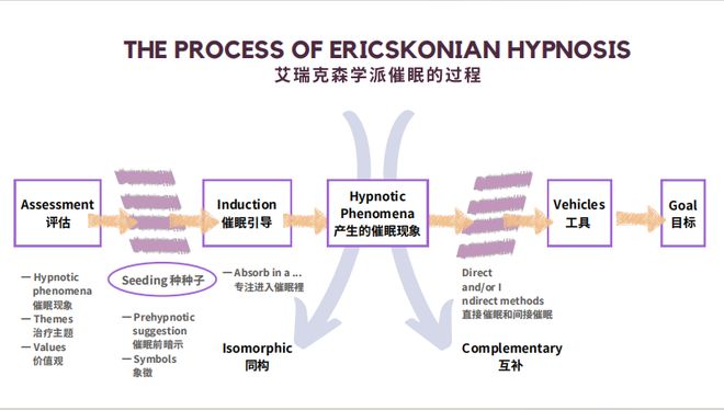 艾瑞克森的八个成长阶段，人类成长与变化的探索之旅