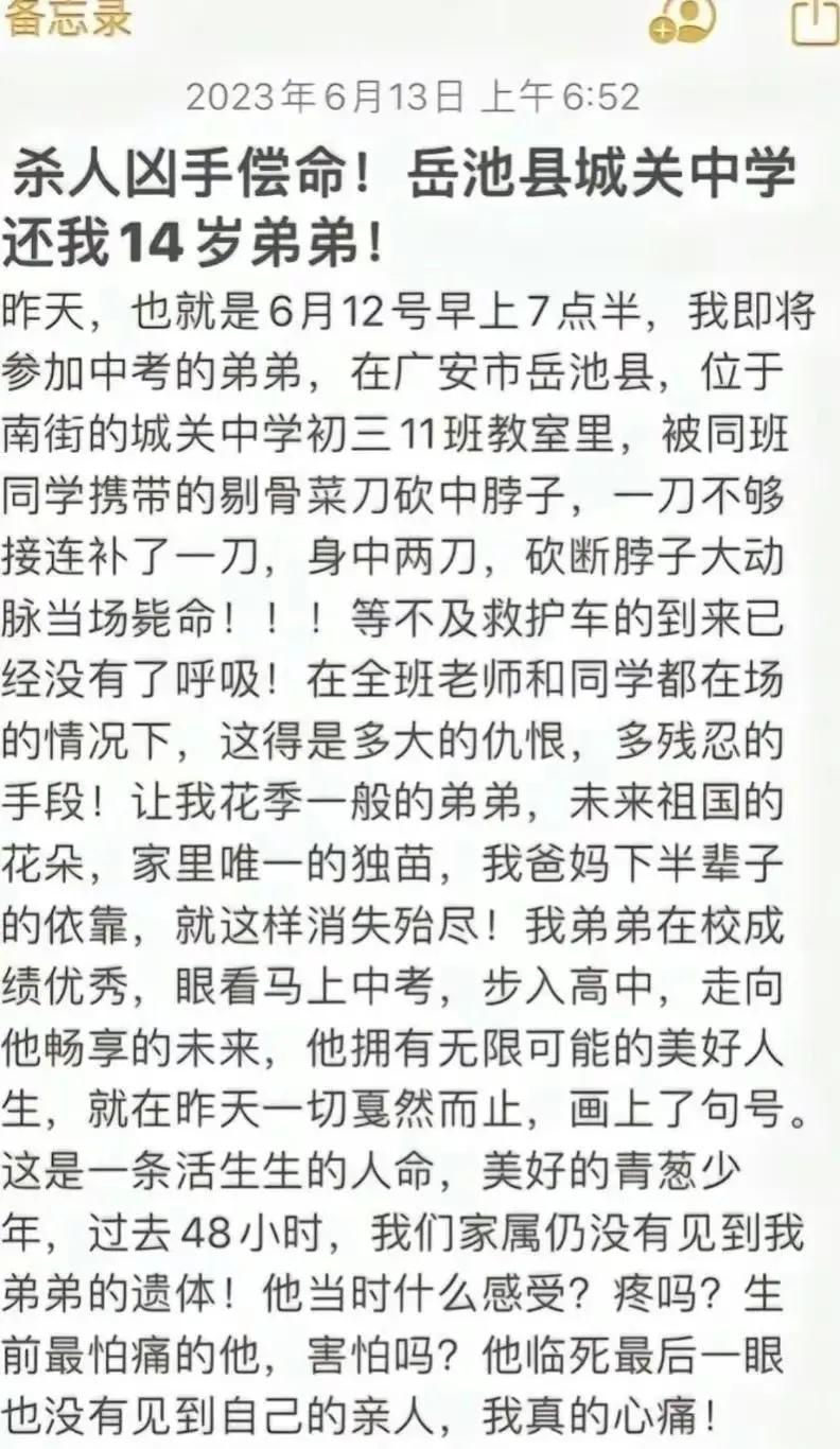 同济大学，历史底蕴与现代风采的碰撞与交融