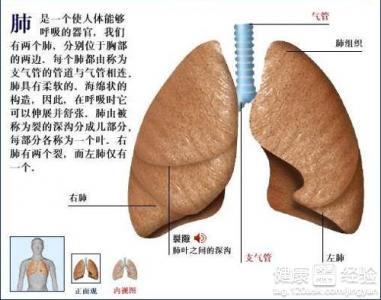 肺腺癌早期手术后是否需要化疗，探讨与解析