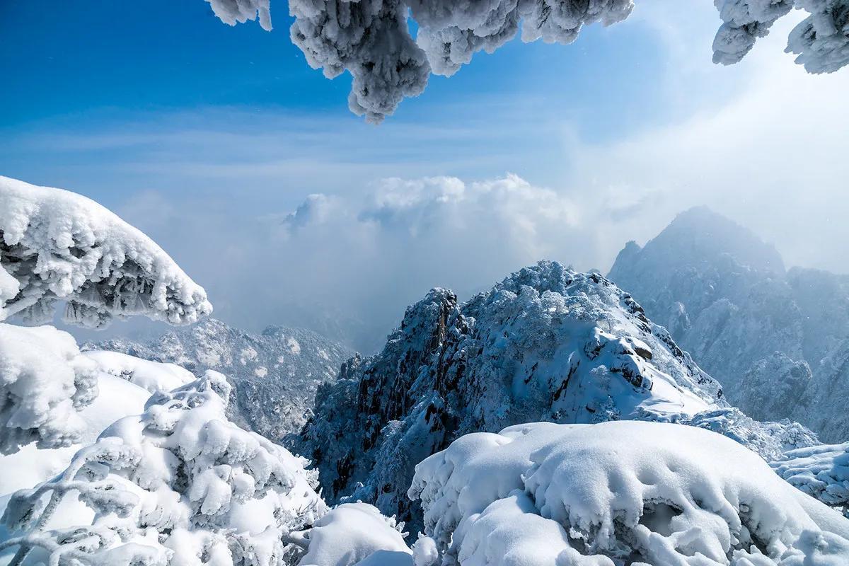 黄山金色雪景惊艳绽放，雪落松海，金色世界如梦如幻