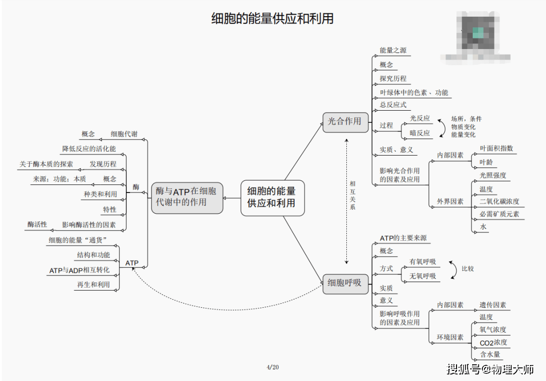 黄大仙三期内必开一肖背后的犯罪真相揭秘