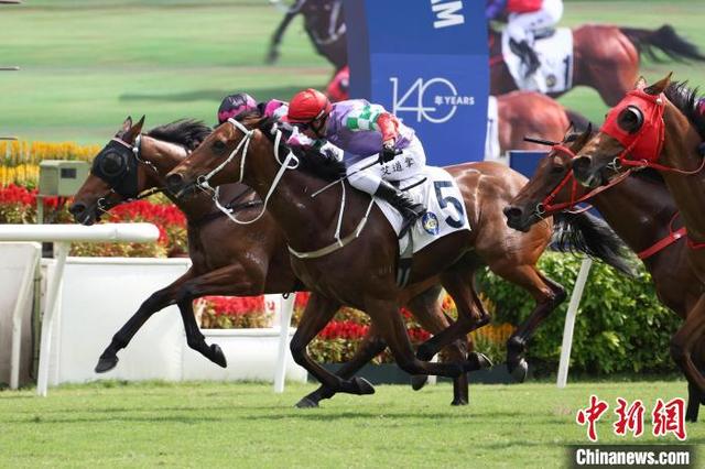 警惕赌博犯罪风险，预测香港今晚特马开什么属违法行为