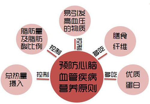 饮食调整与心脑血管疾病预防策略