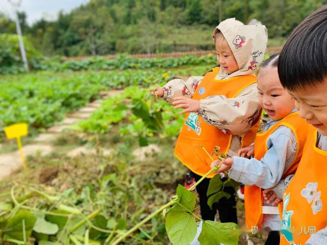 适合幼儿的自然教育课程概览