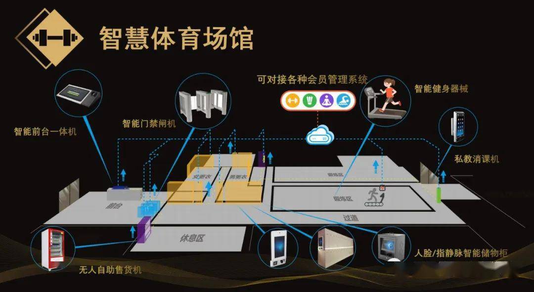 数字化改造下的体育馆，创新提升用户互动体验之路