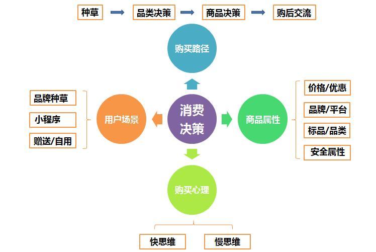 个性化服务对娱乐决策的影响解析