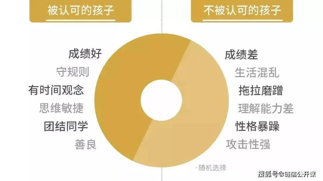 家庭教育对孩子压力管理能力的塑造与影响