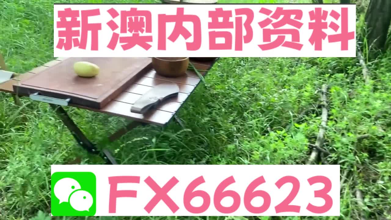 新澳资料免费精准期期准,提升规划精准执行_启航版66.54.24