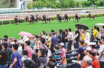 香港马资料更新最快的,精准路径优化方案分析_智翔版63.05.15