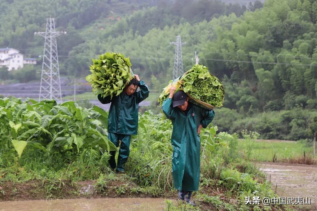 寸心难寄 第2页