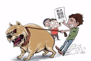 饲养员职责与挑战，制止四条大型犬咬人事件