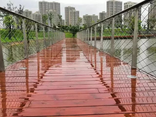 雨水利用家庭灌溉指南