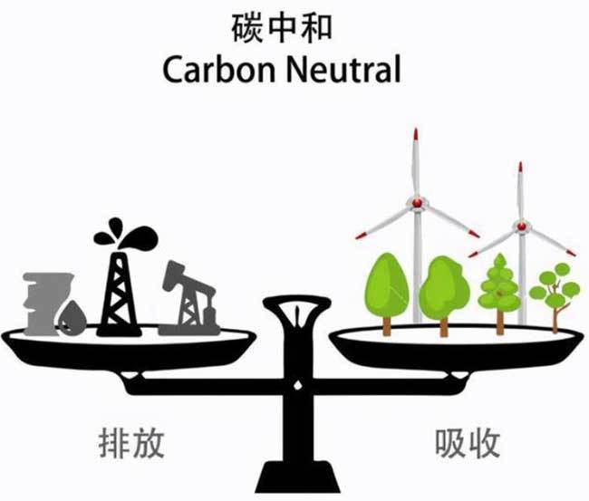 家庭实践绿色生活理念，减少二氧化碳排放，共创低碳生活