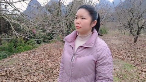 归途心灵之旅，一位未婚女子的乡村生活探寻记