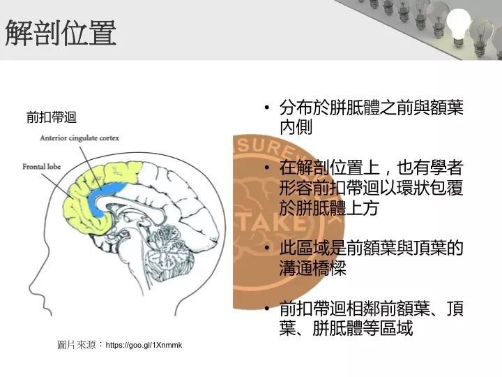 情绪调节误区解析与正确做法指南