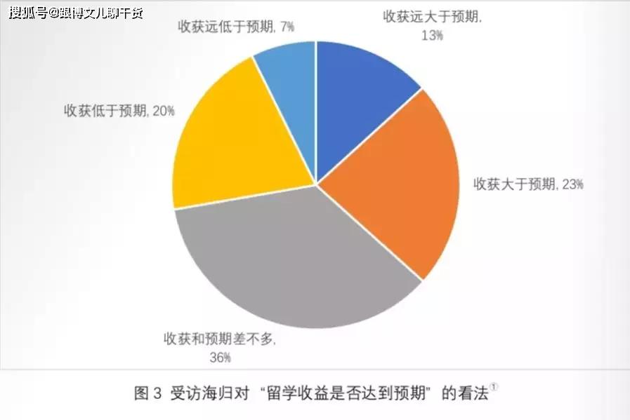 留学生就业难题与多元化发展路径探索