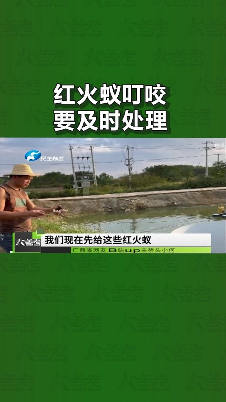 警惕外来物种入侵，国安与生态安全的紧迫任务